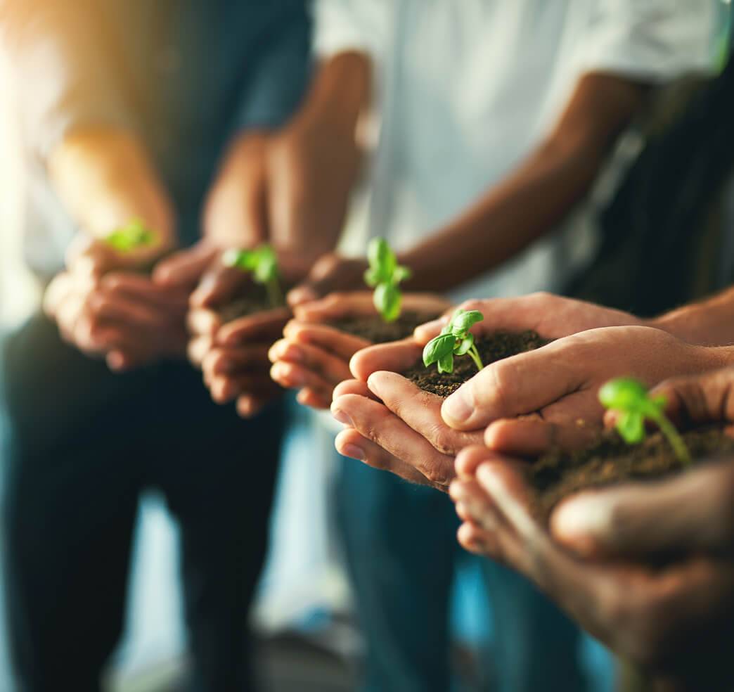 Five hands holding plants
