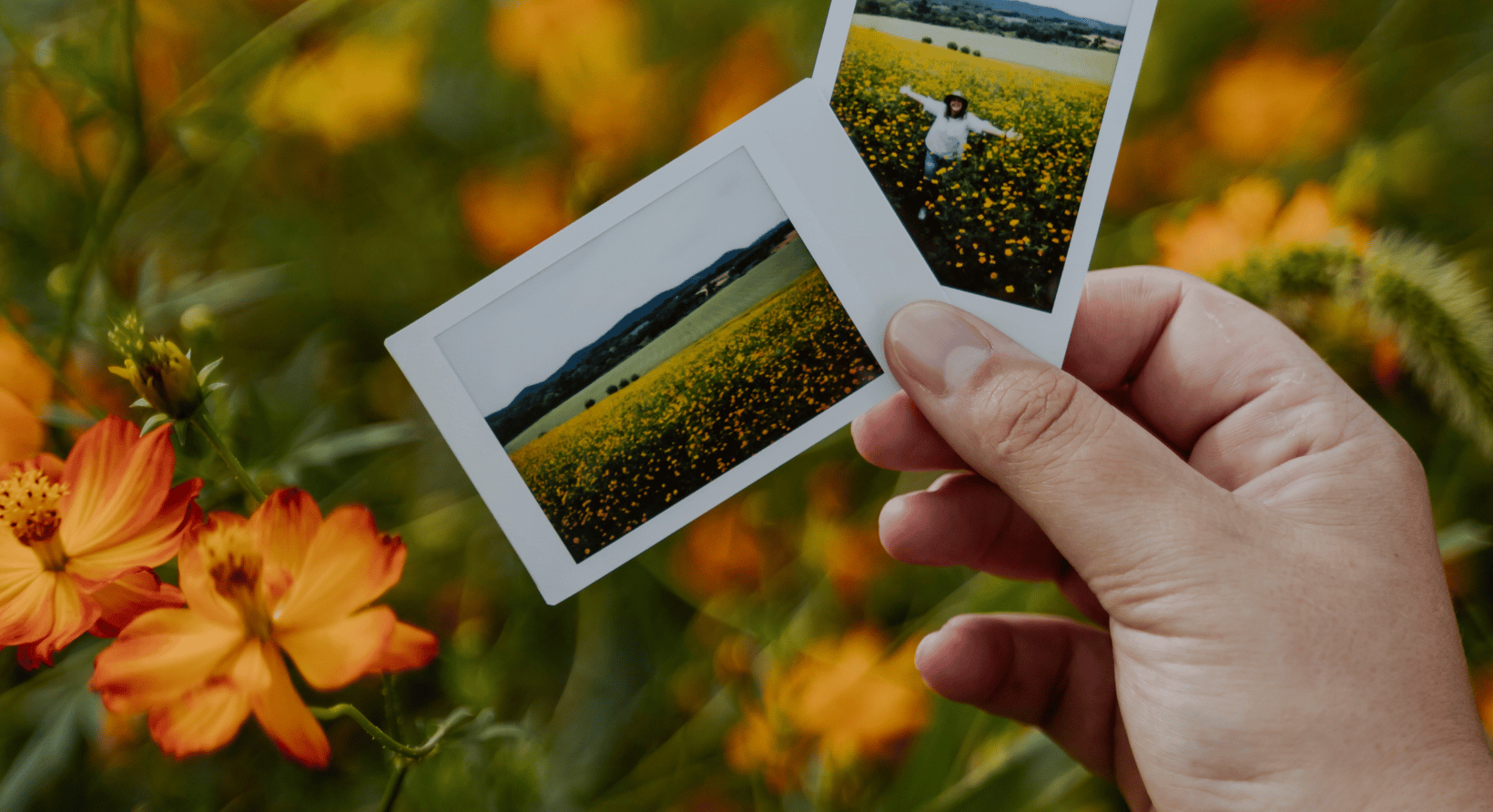 Heritage & Horizons – A March Journey Through Innovation, Nature, and Music 2025