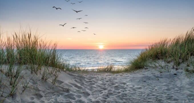 Travel the Portfolio: Sun Seekers