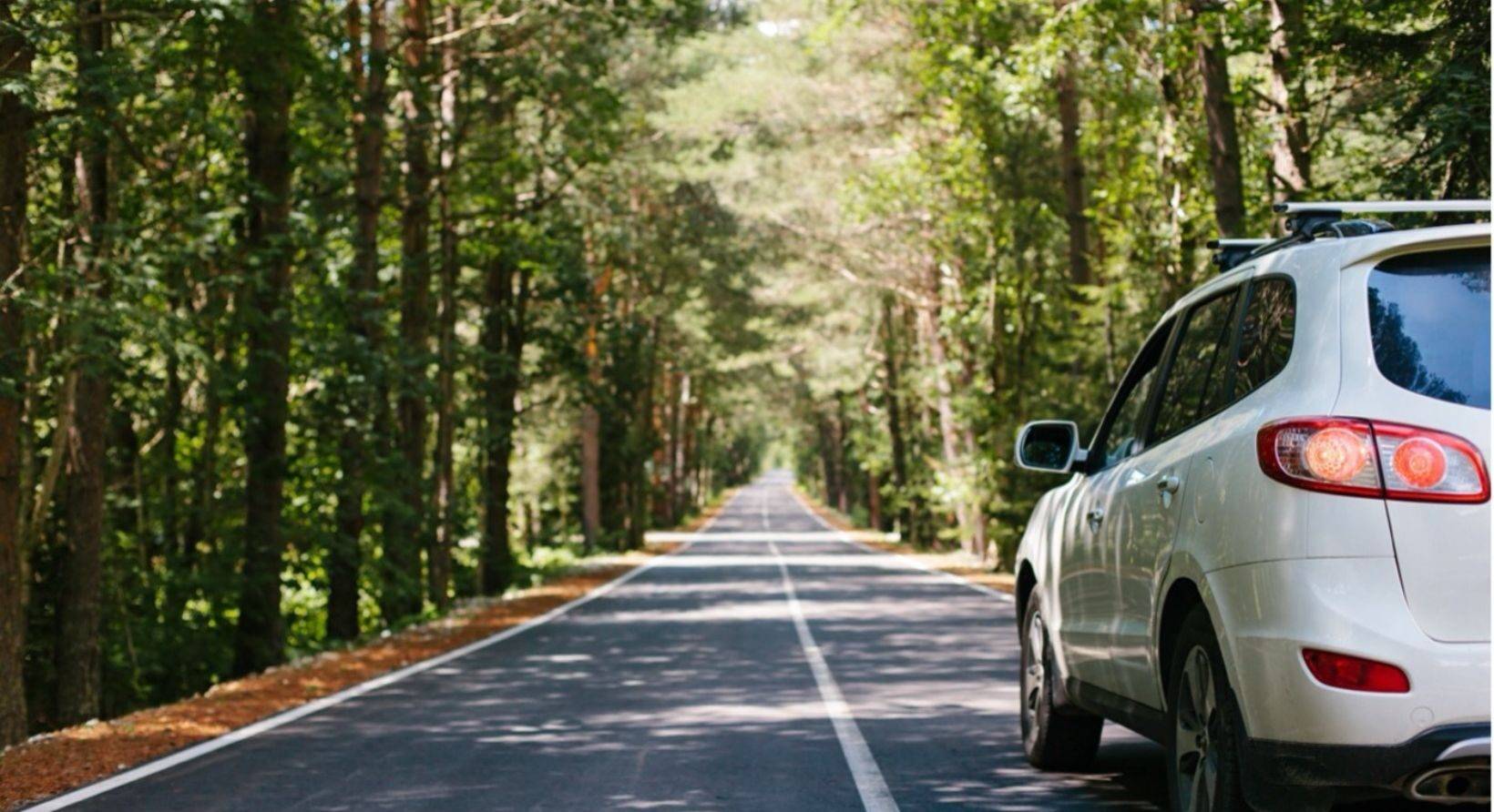 A car driving down a road in the woods