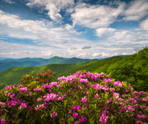 asheville, nc