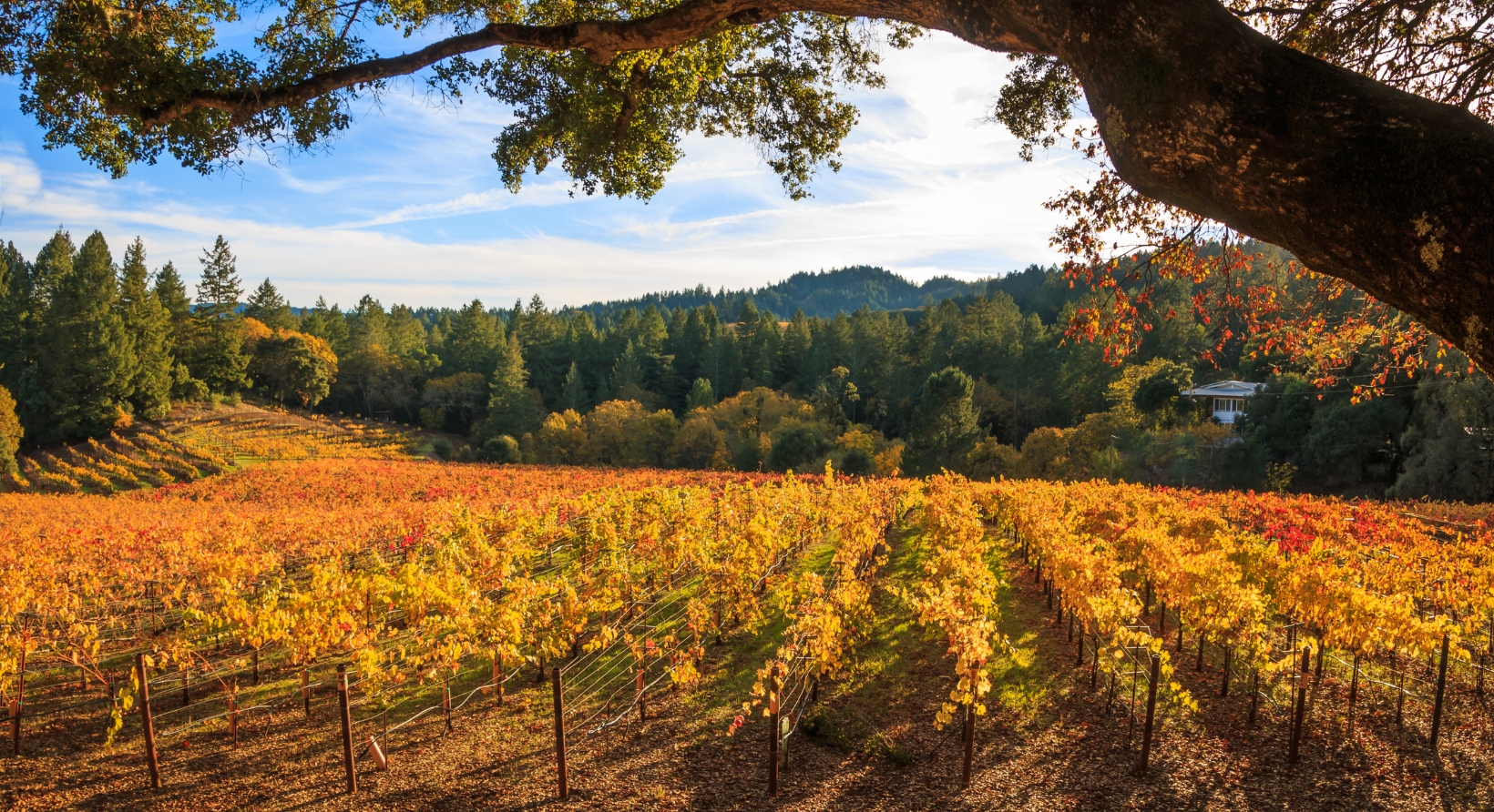 Travel the Portfolio Harvest Trails