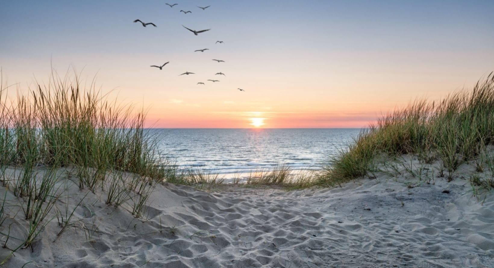 A sun setting on the beach